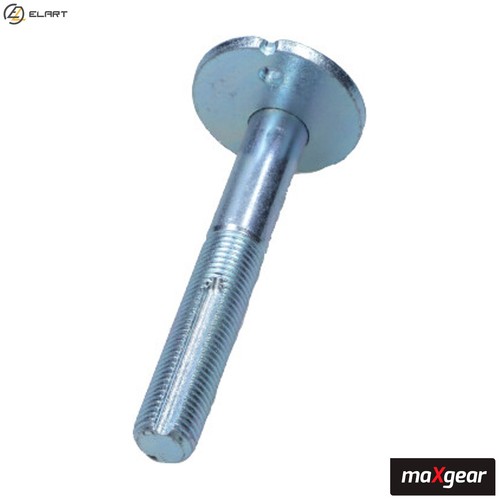 Camber correction screw - correction,